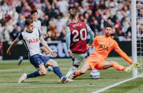 Understanding Betting Fixed: Myths and Facts